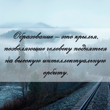 цитата об образовании и контрольной