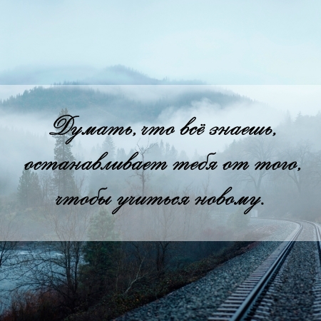 цитата об образовании и курсовой