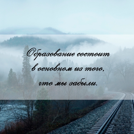цитата об образовании и реферате